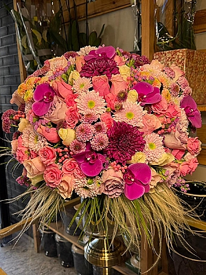 Pembe Tonlarnda Vip Arajman